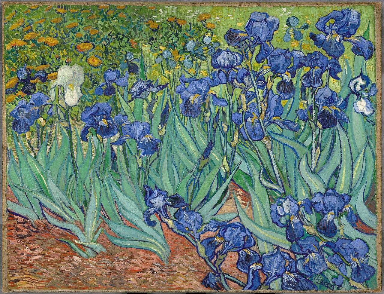 Irises — Vincent van Gogh, original artwork; not a product photo